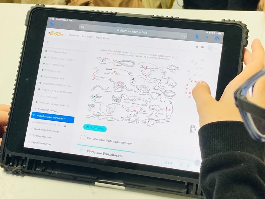 Marie-Curie-Schule - Gymnasium der Stadt Leipzig